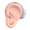 ear with hearing aid